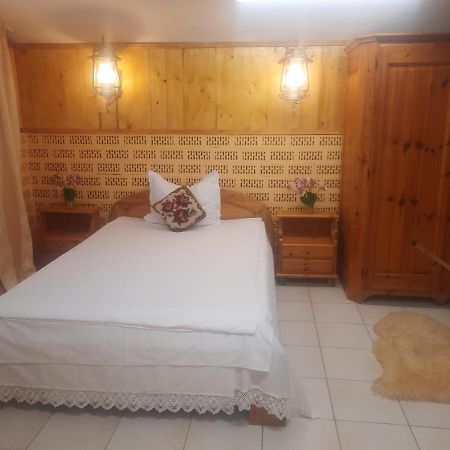 טימישוארה Apartament Pe Malul Raului Bega מראה חיצוני תמונה
