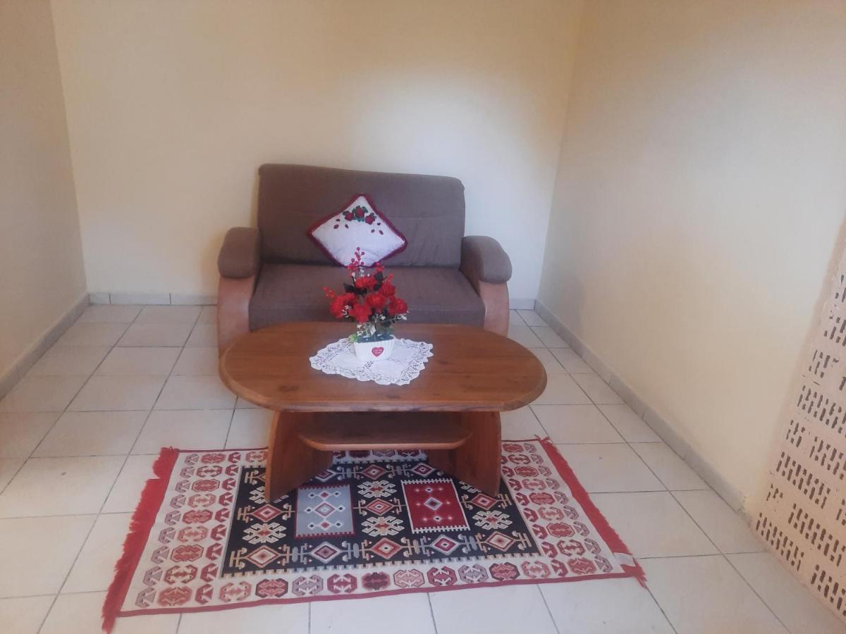 טימישוארה Apartament Pe Malul Raului Bega מראה חיצוני תמונה